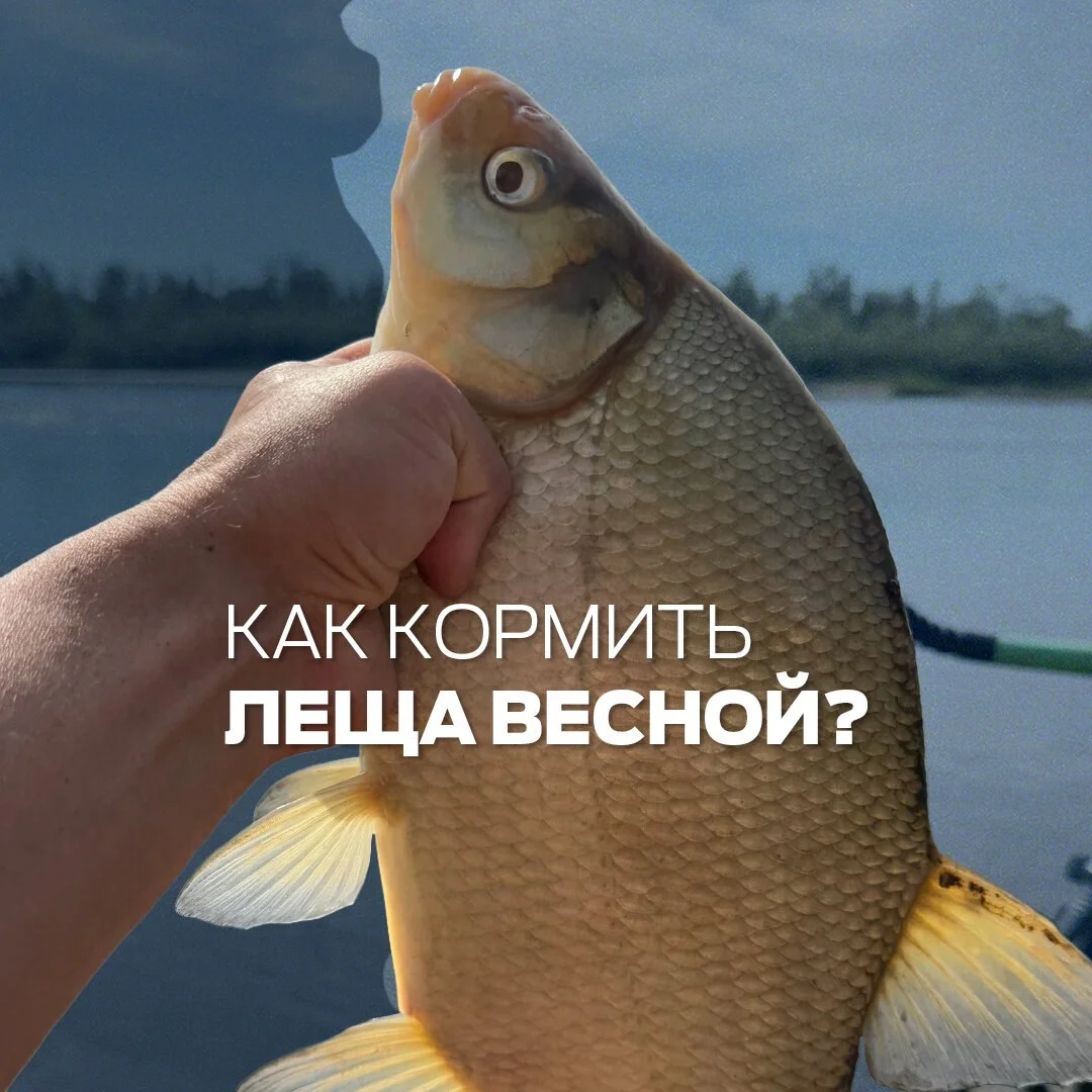лещ