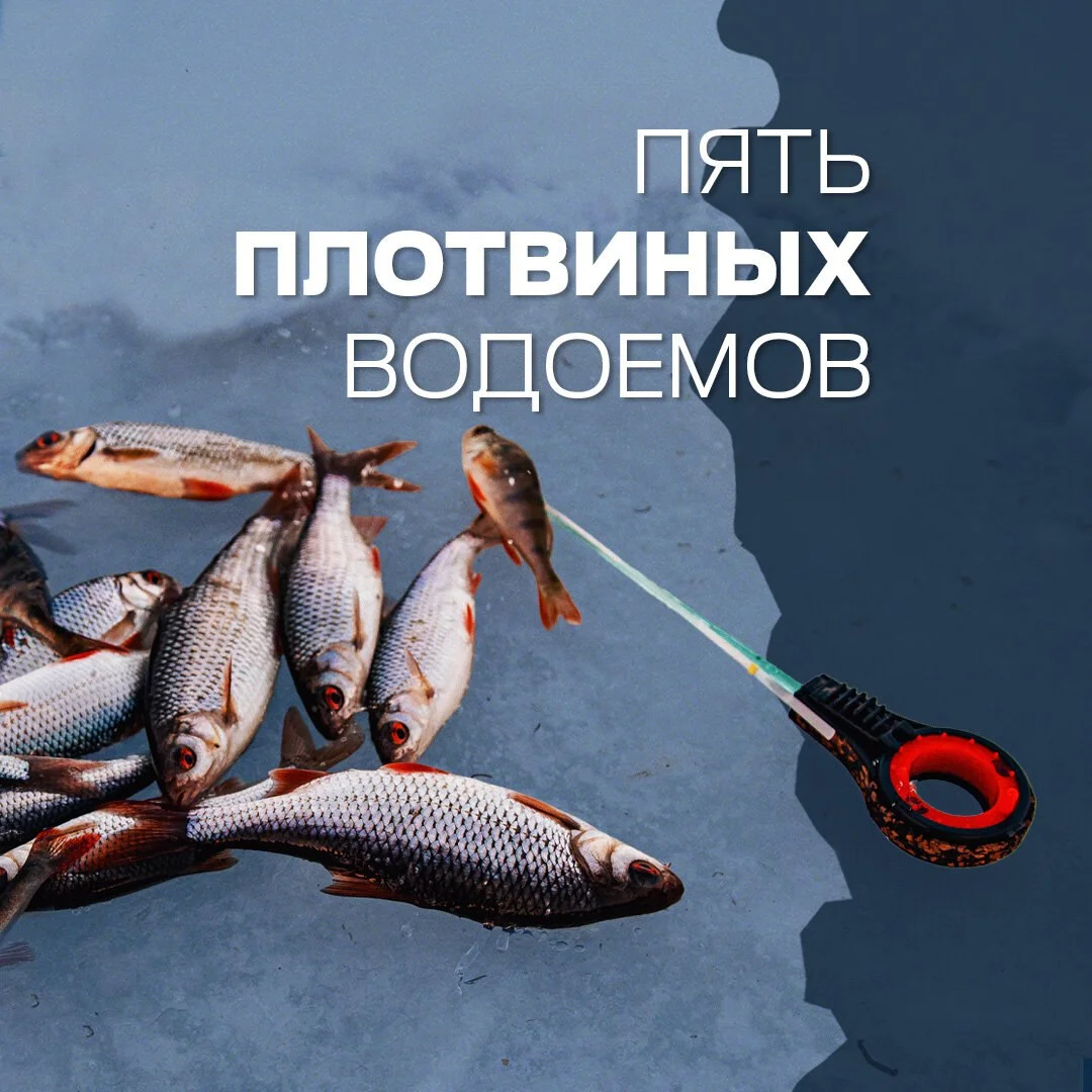 плотва