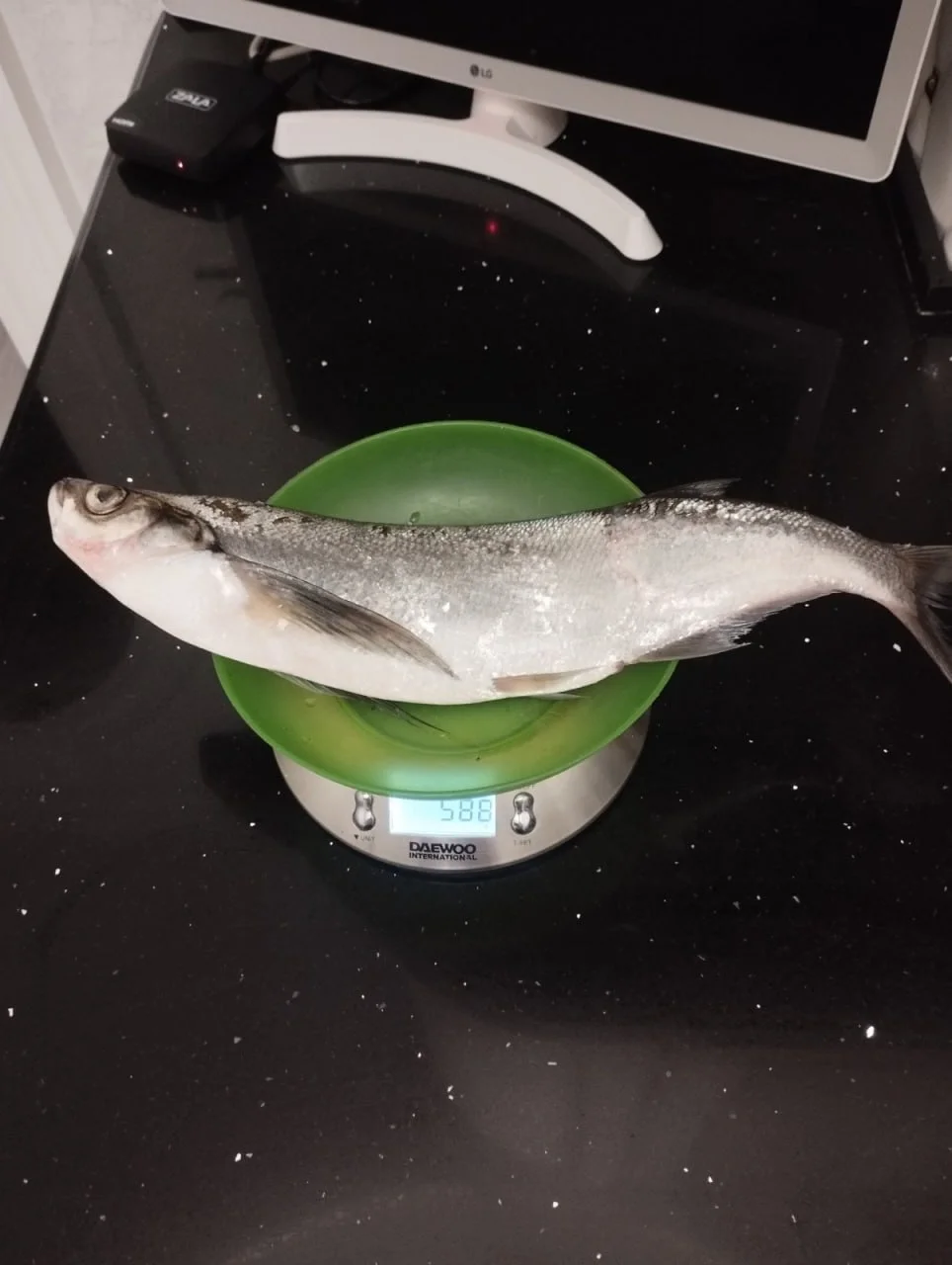 чехонь