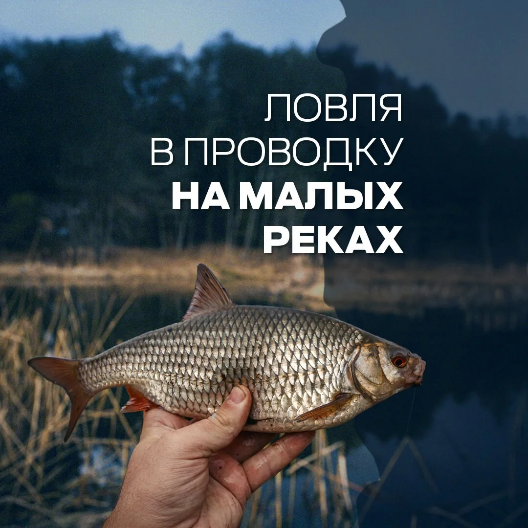 улов