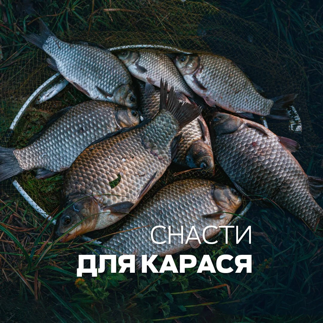 карась
