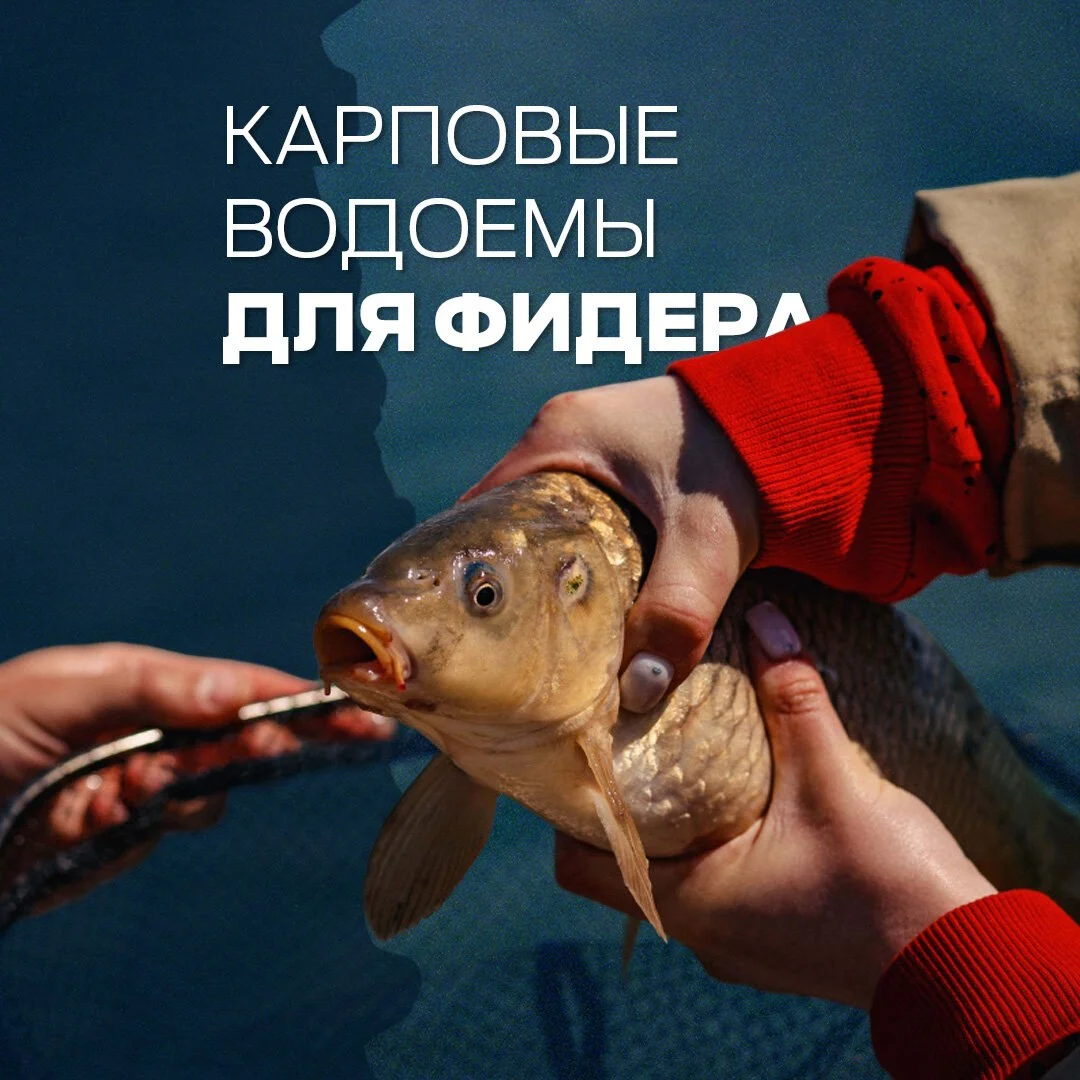 улов