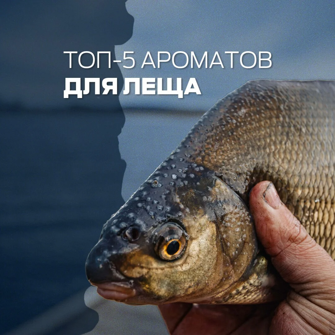 лещ