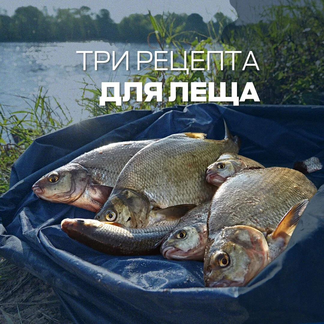 лещ
