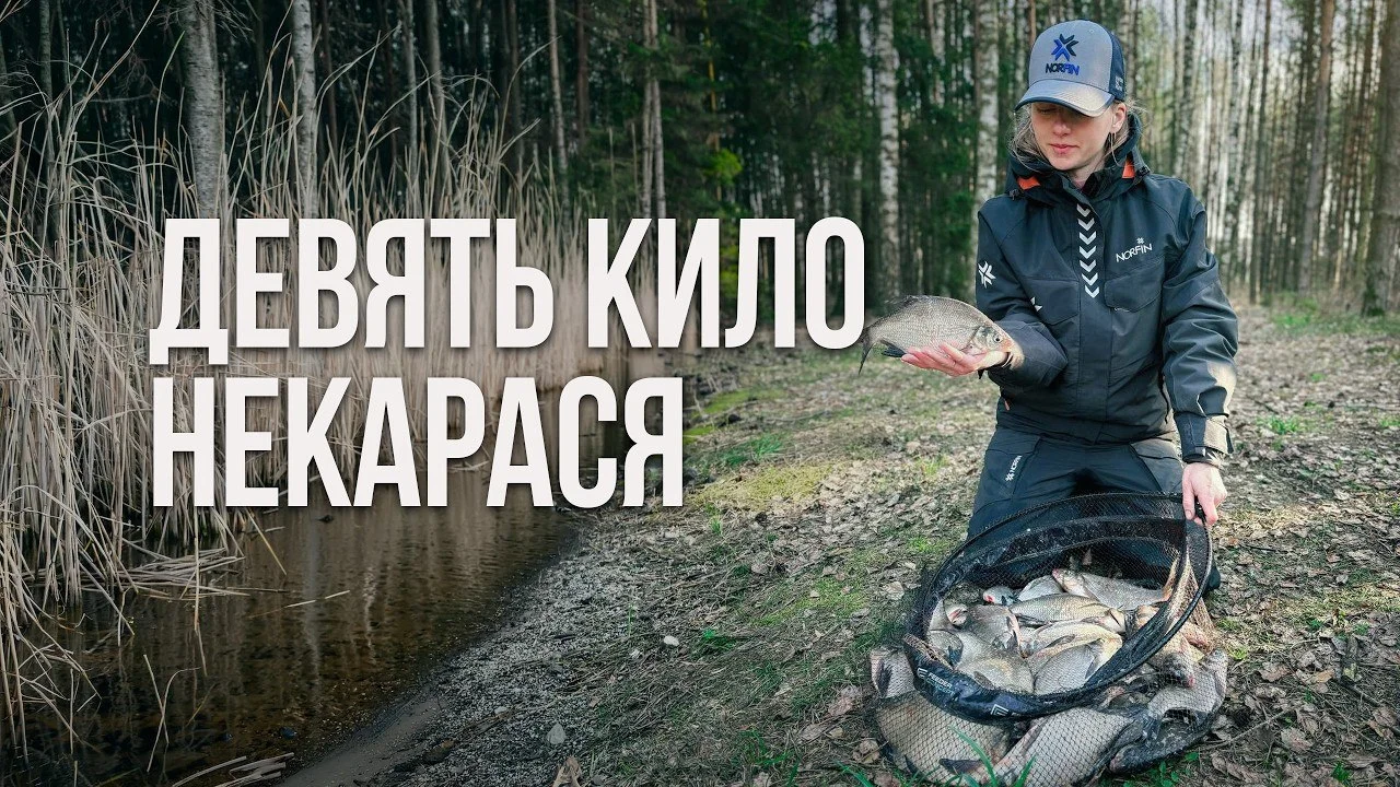 карась