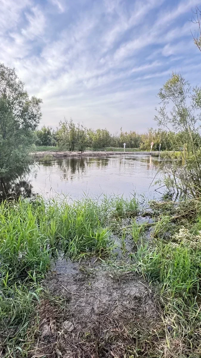 улов