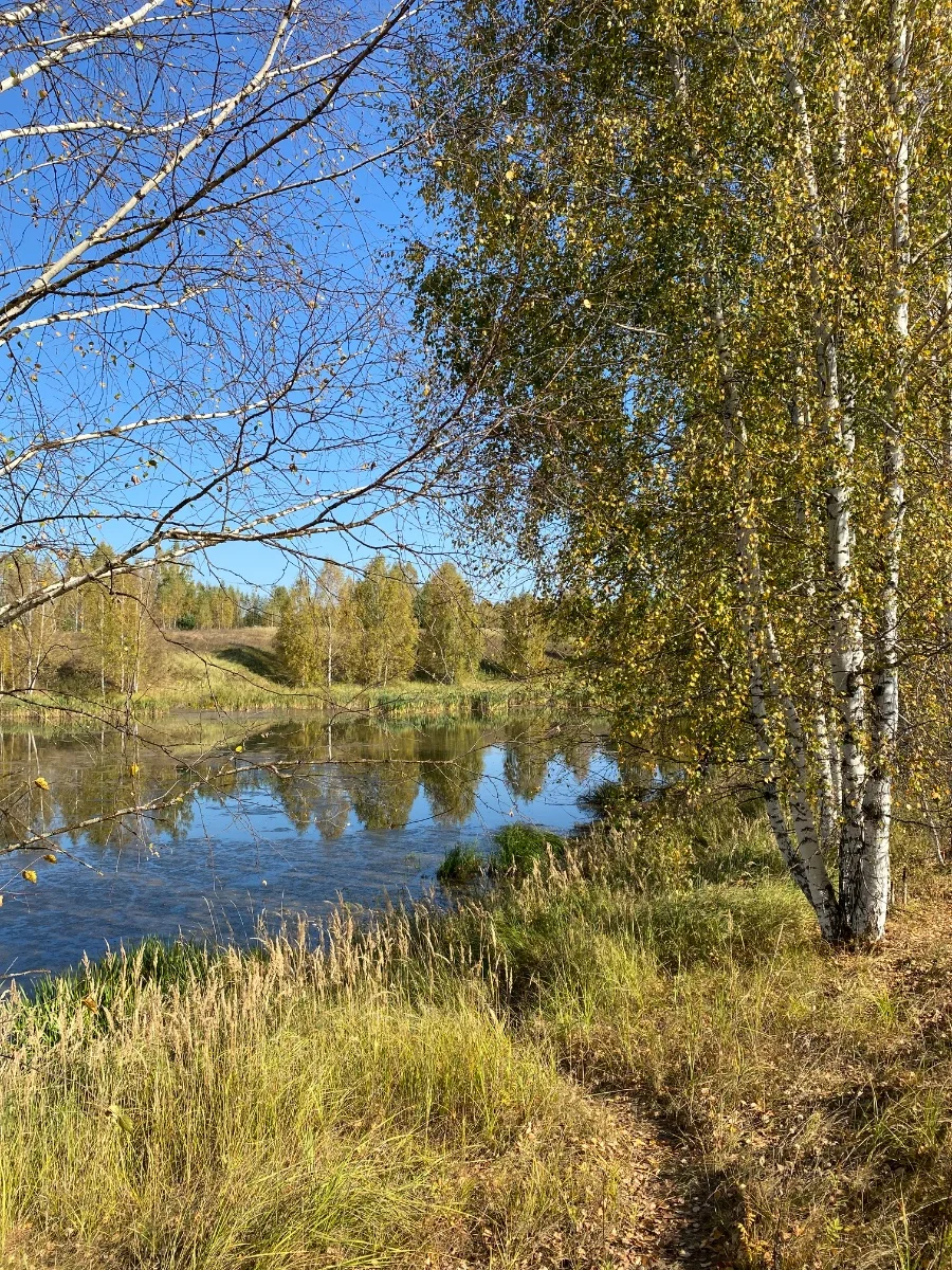 улов
