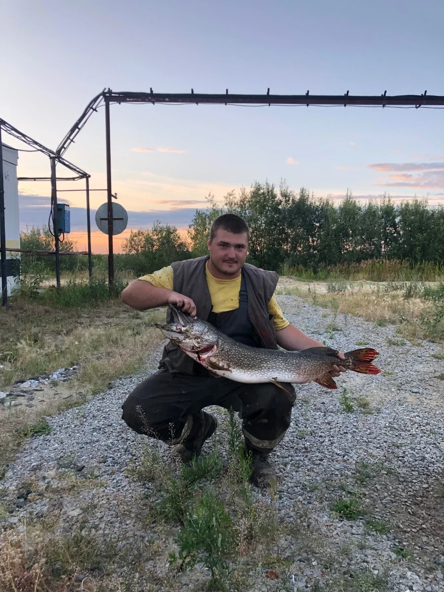 Судак 1.8 кг