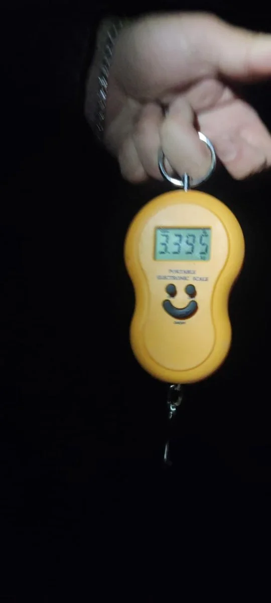 Лещ 3.3 кг