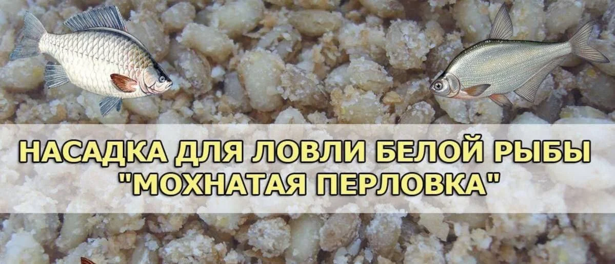 без рыбы