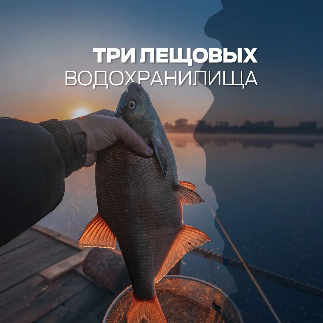 лещ