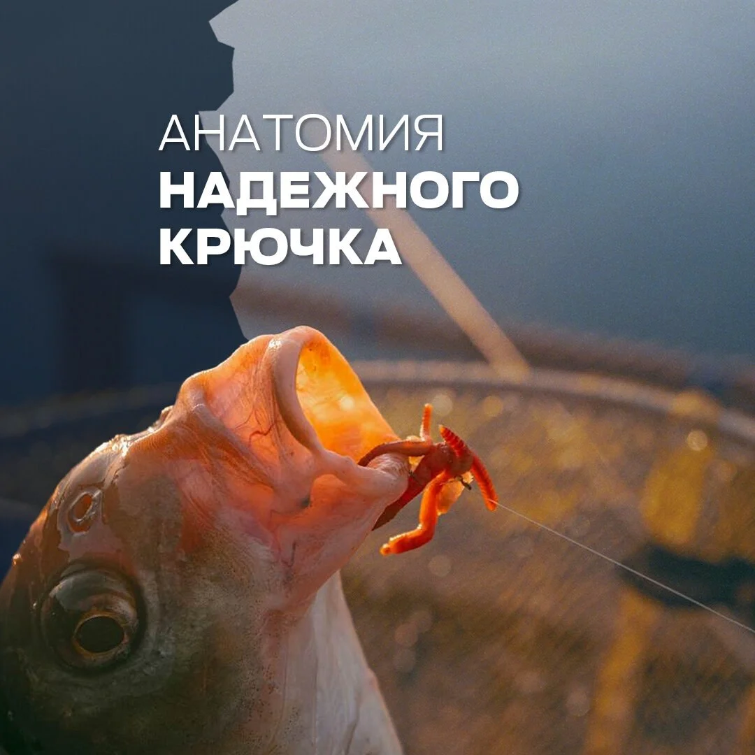 улов