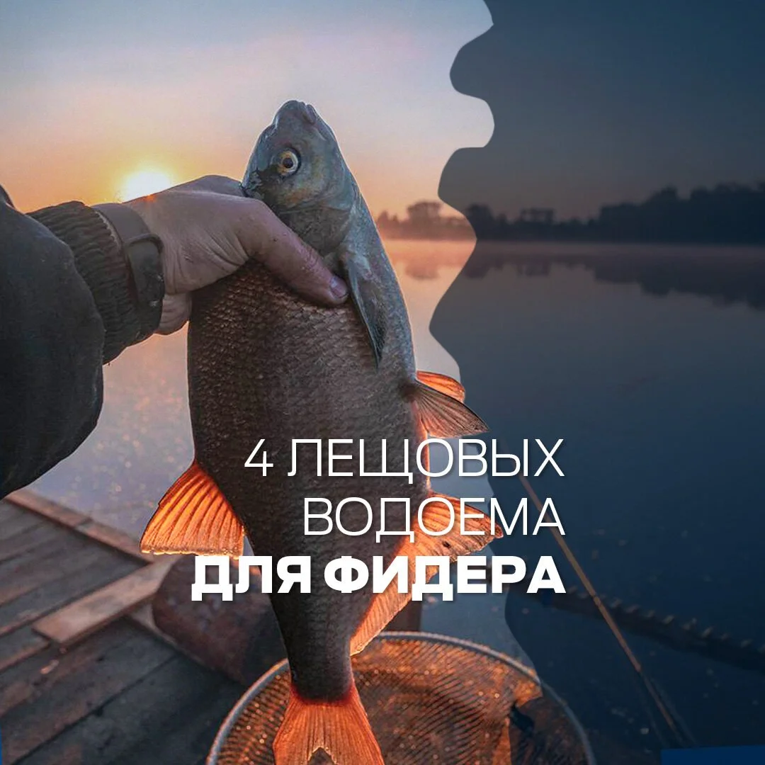 лещ