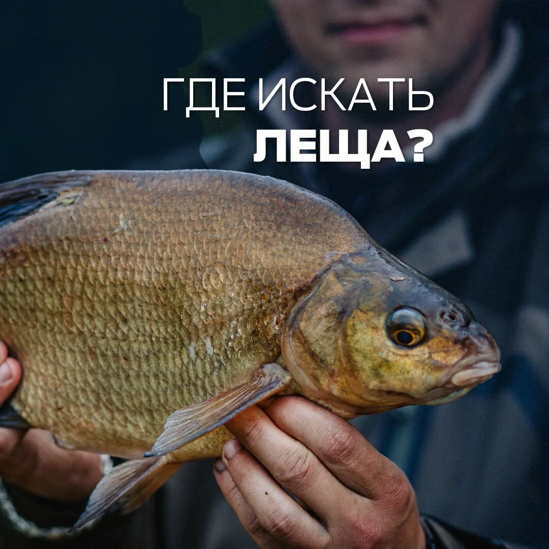лещ