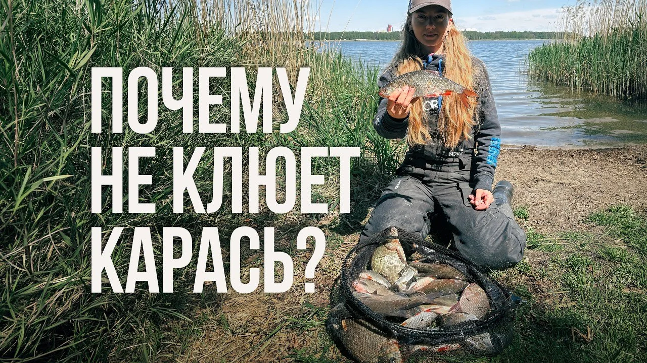 карась