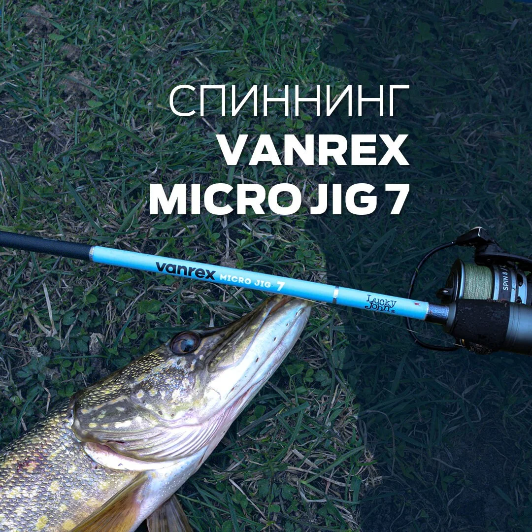щука